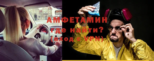 индика Богородицк