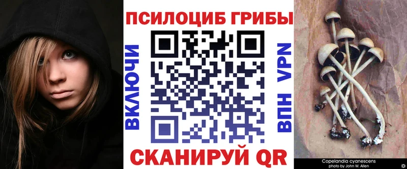 Псилоцибиновые грибы Magic Shrooms  Шарыпово 